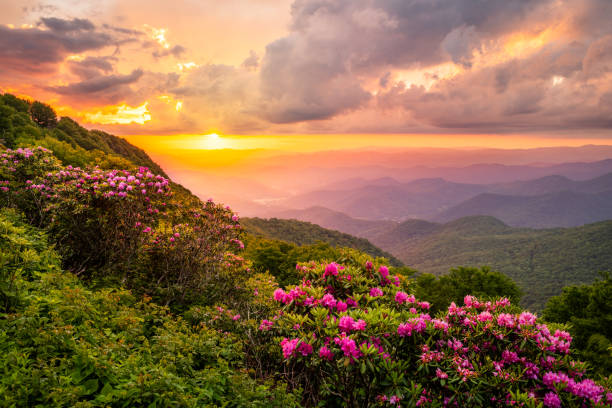 istockphoto-1403500817-612x612.jpg istockphoto-1403500817-612x612.jpg
